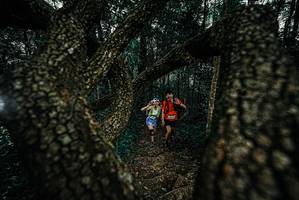 BIB: 
                            <button type="button" onclick="openModal(25678377)" class="btn btn-primary btn-sm float-right btn-popup" data-toggle="modal" data-target=".modal-high-quality">
                        <i class="fas fa-shopping-cart"></i> Add to Cart
                    </button>
                                            <button type="button" onclick="isThisMe(25678377, true)" class="btn btn-success btn-sm float-right btn-popup btn-isme hidden" data-toggle="tooltip" data-placement="bottom" title="นี่คือรูปของคุณใช่ไหม คลิกที่นี่เพื่อเอาเข้าอัลบั้ม">
                        <i class="fas fa-plus"></i> Add to album
                    </button>
                    <button type="button" onclick="isThisMe(25678377, false)" class="btn btn-warning btn-sm float-right btn-popup btn-isnotme hidden">
                        <i class="fas fa-ban"></i> Remove from album
                    </button>